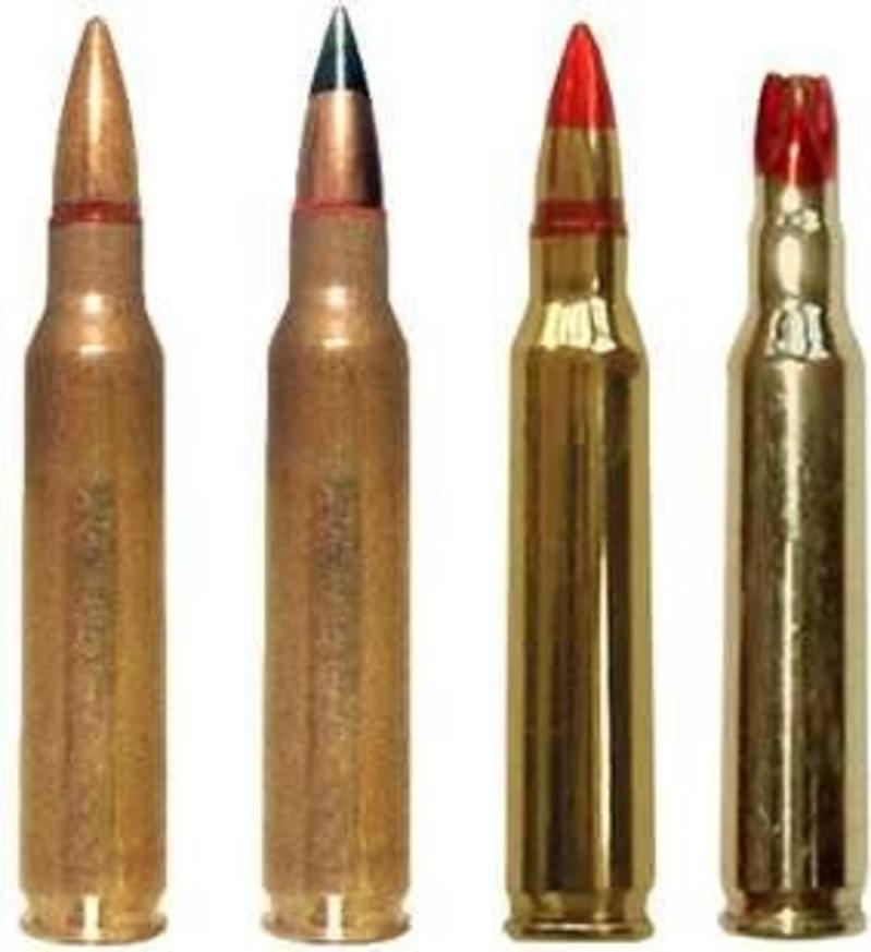 Small Arms Ammunition 5.56mm x 45