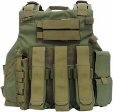 Masada Plate carrier with an inner belt - green